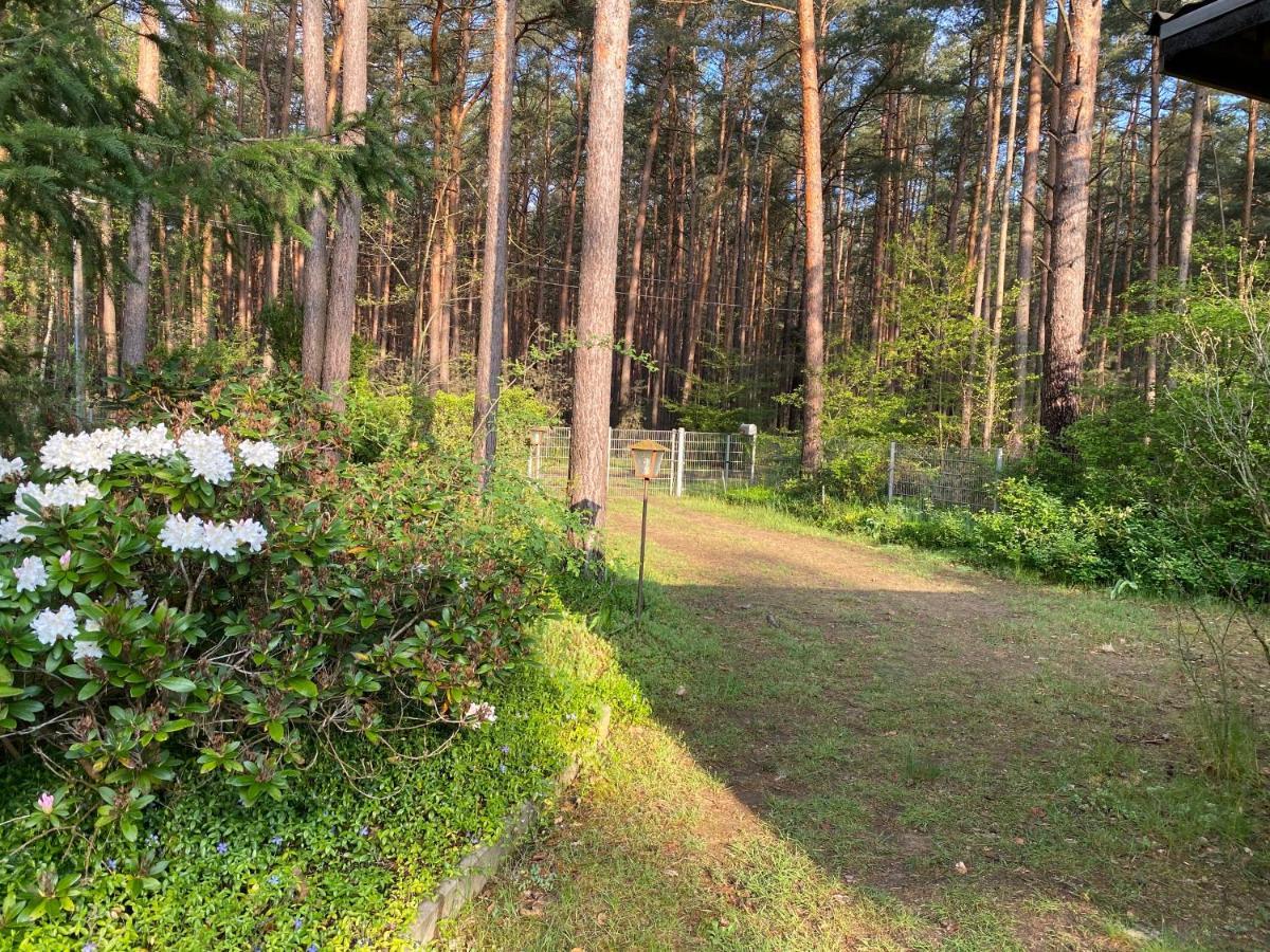 Ferienhaus Im Wald Borkwalde エクステリア 写真