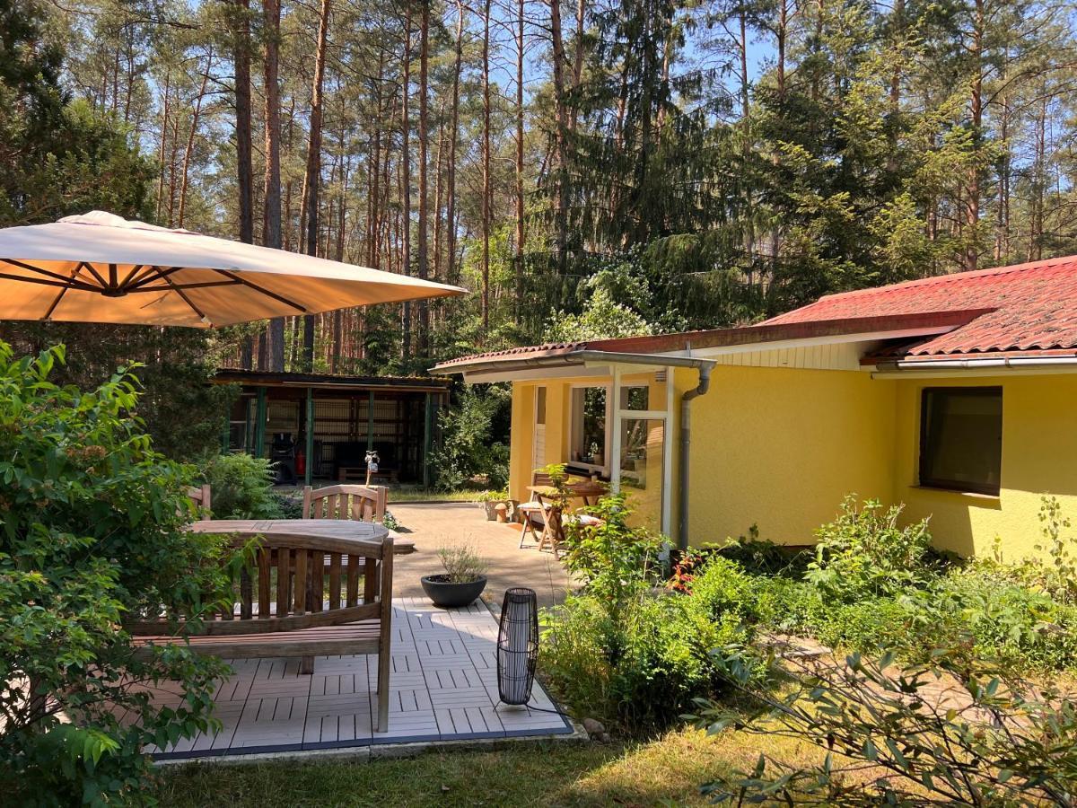 Ferienhaus Im Wald Borkwalde エクステリア 写真