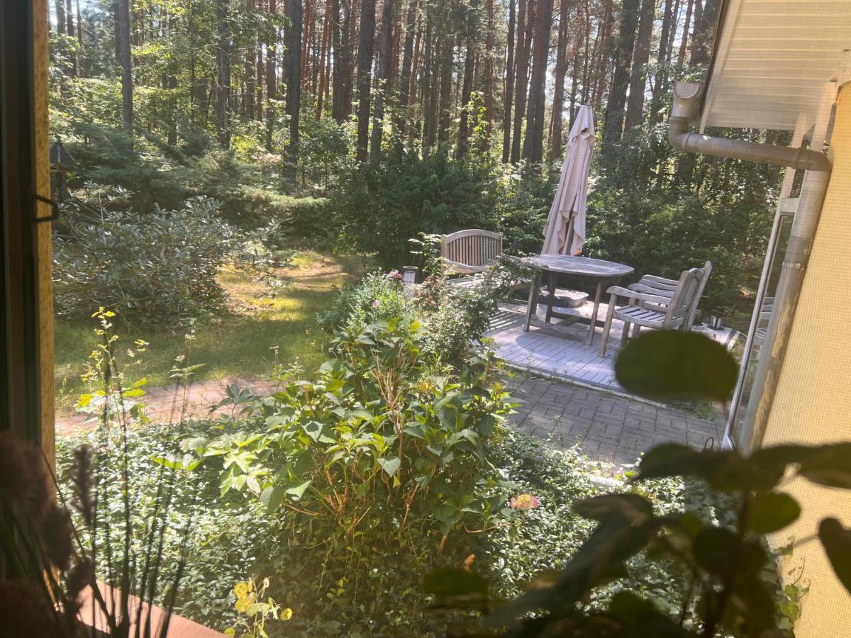 Ferienhaus Im Wald Borkwalde エクステリア 写真