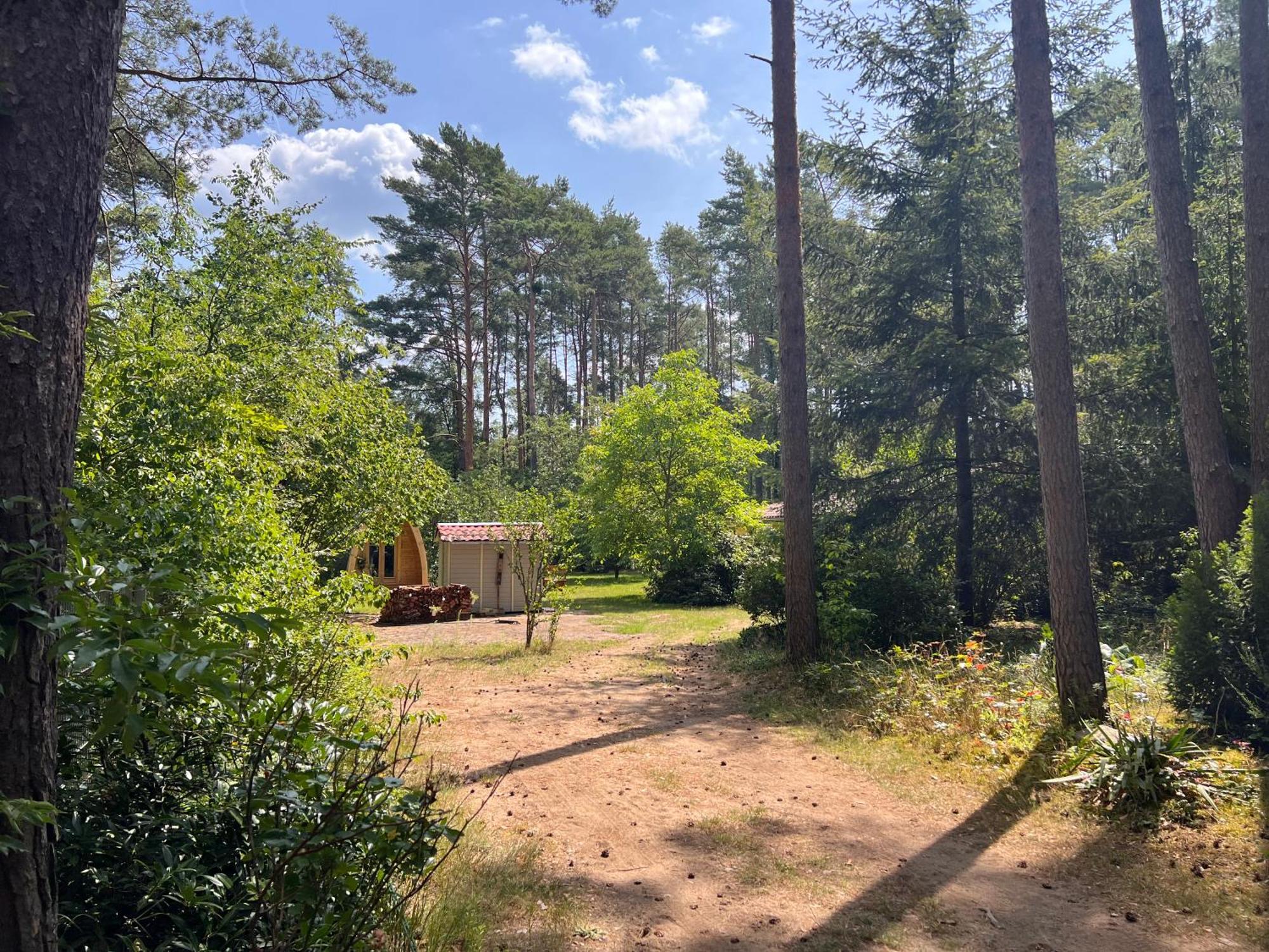 Ferienhaus Im Wald Borkwalde エクステリア 写真