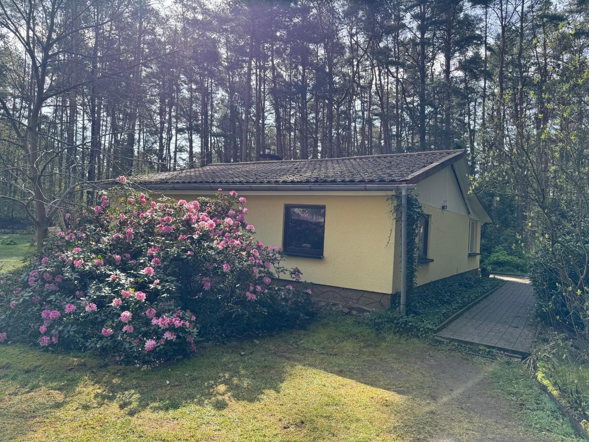 Ferienhaus Im Wald Borkwalde エクステリア 写真