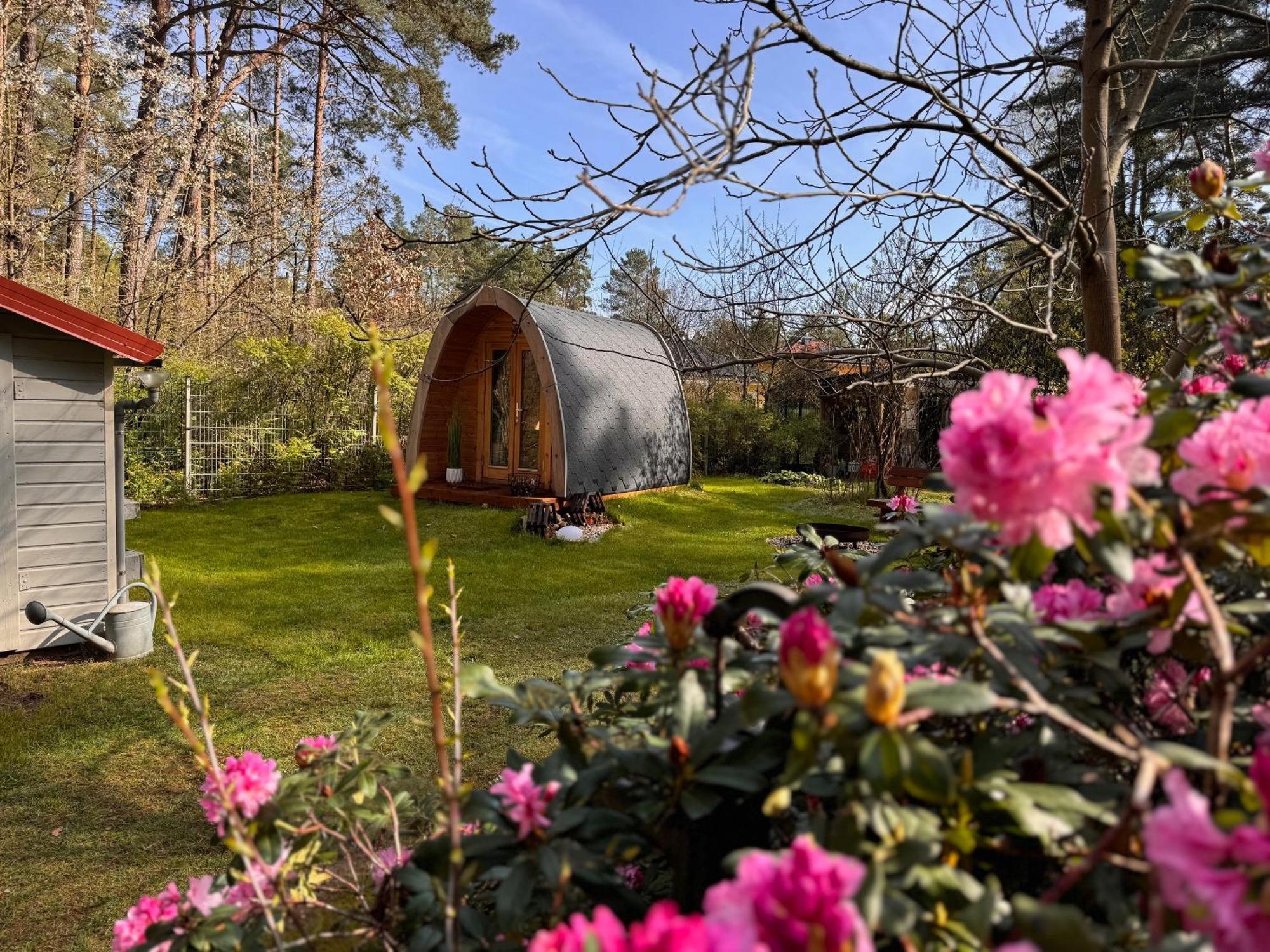 Ferienhaus Im Wald Borkwalde エクステリア 写真