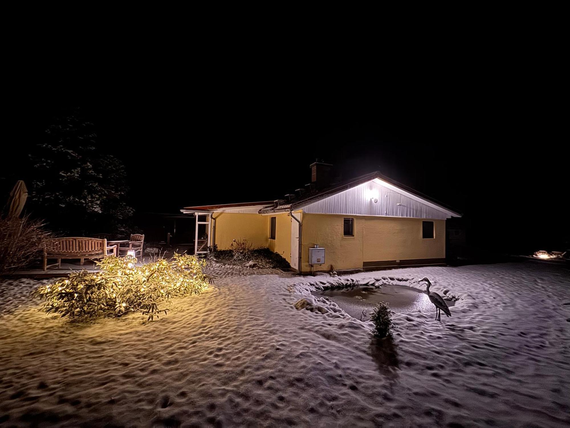 Ferienhaus Im Wald Borkwalde エクステリア 写真